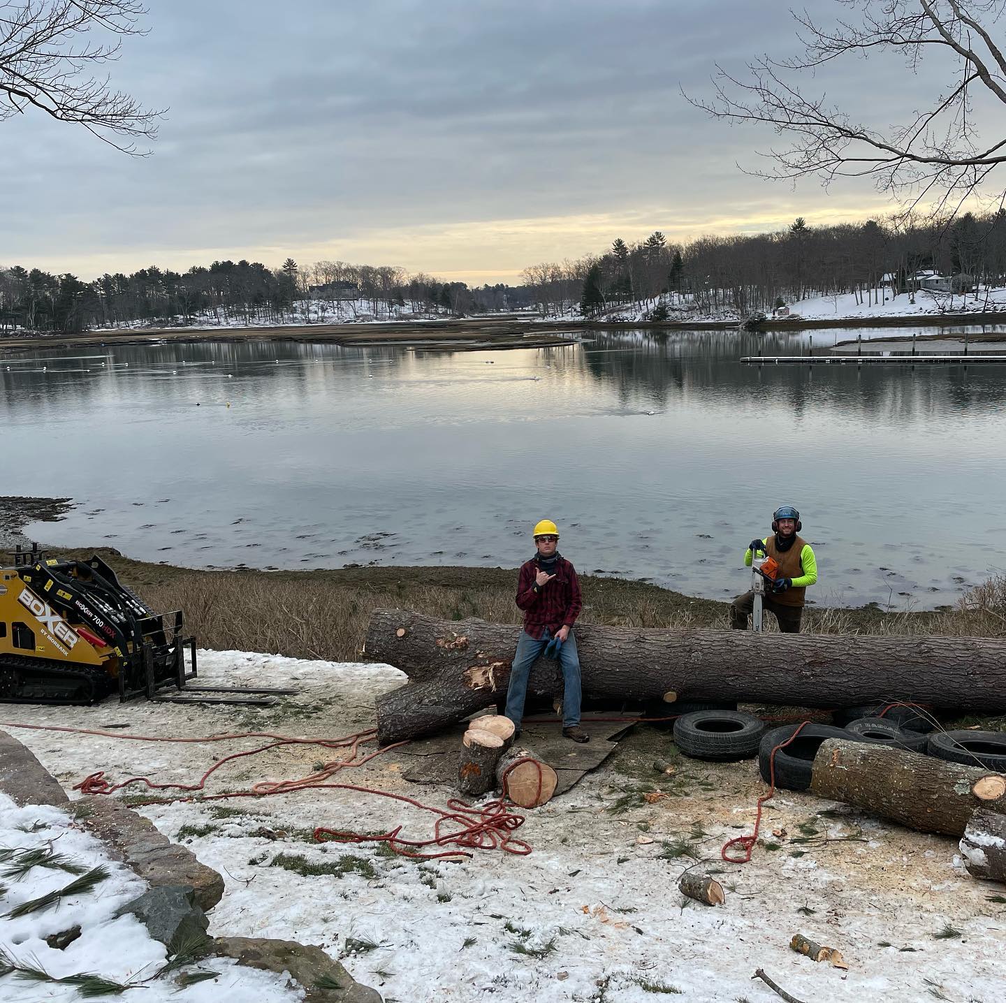 Masi Tree crew moving a log on the York shoreline