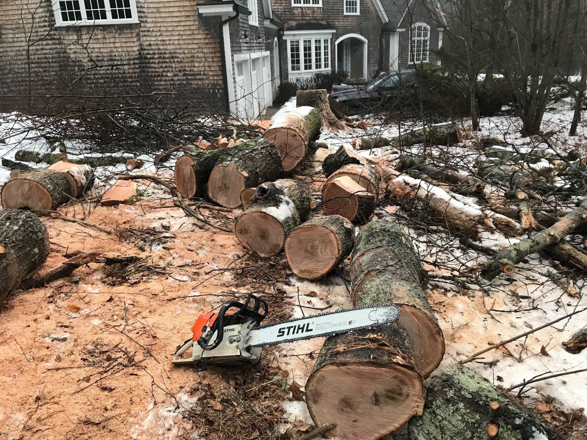 Cut logs and chainsaw on job site